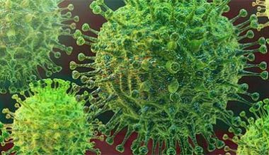 What is Coronavirus It's Symptoms & Cure